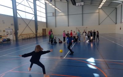 Football gaélique